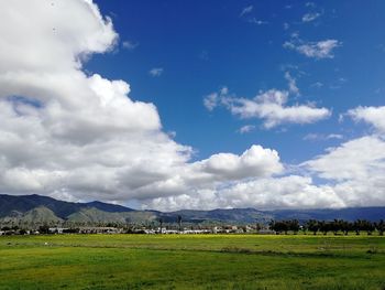 Scenic view of field against sky