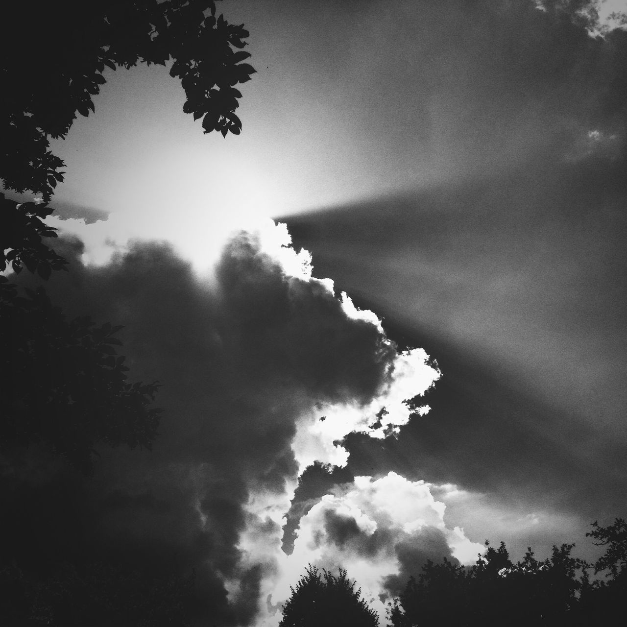 low angle view, sky, cloud - sky, tree, cloudy, beauty in nature, silhouette, nature, tranquility, scenics, weather, overcast, tranquil scene, cloud, outdoors, growth, treetop, high section, dusk, cloudscape