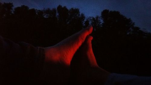 Close-up of silhouette hand against trees at night