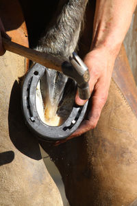 Cropped hand on blacksmith adjusting horseshoe