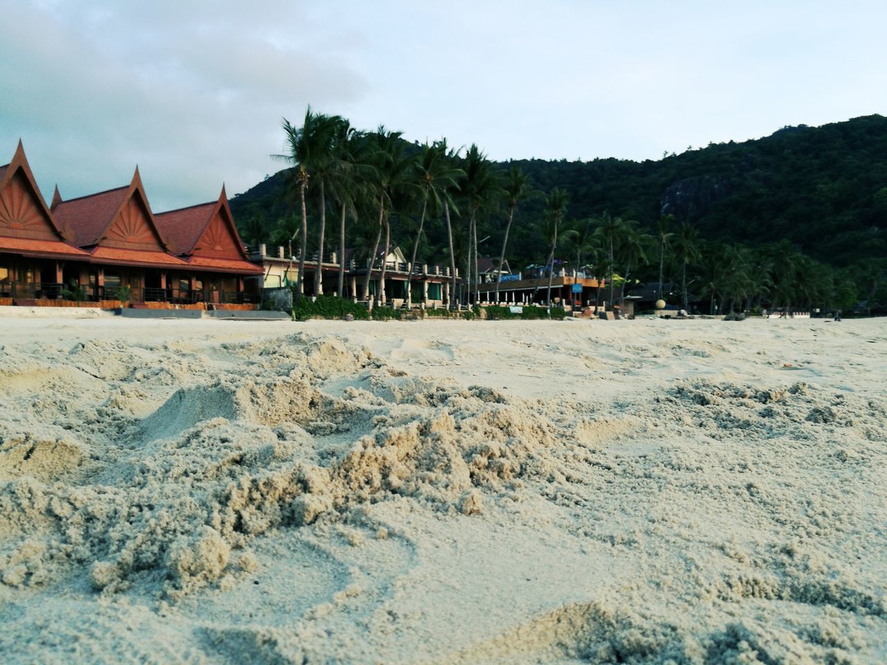 sand, sky, built structure, beach, tree, palm tree, architecture, nature, outdoors, no people, day, beauty in nature, building exterior