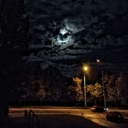 Illuminated trees against sky at night