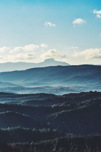 Scenic view of landscape against sky