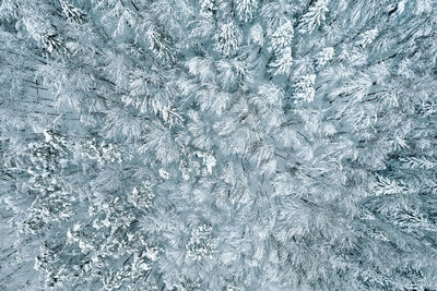 Aerial view and full frame shot of snow covered forest