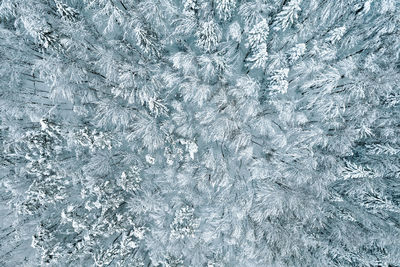 Aerial view and full frame shot of snow covered forest