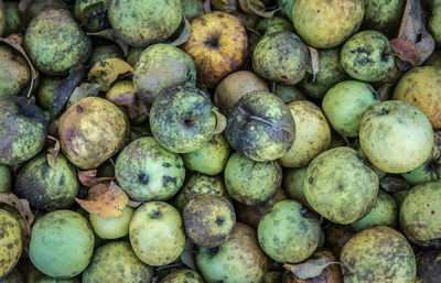 Full frame shot of onions for sale at market stall