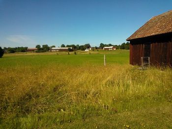 Houses on field against clear sky