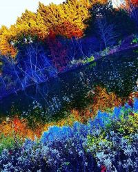 Scenic view of trees during autumn