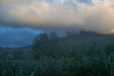 Scenic view of landscape against sky