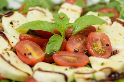 Mediterranean salad with mozzarella