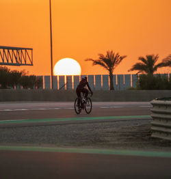 Rear view of man riding bicycle on road