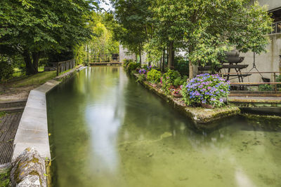 Scenic view of lake amidst trees in park