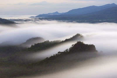 Beautiful mist over green forest on mountain, aerial view sunrise over the mountain range.