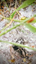 Close-up high angle view of water