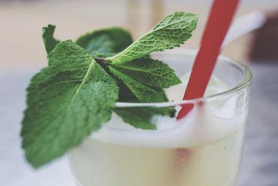 Close-up of drink on table