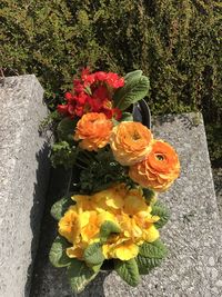 High angle view of flowers and leaves