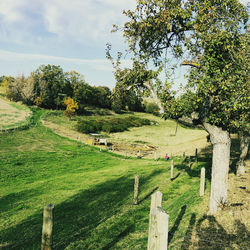 Scenic view of landscape against sky