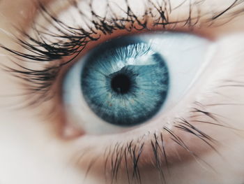 Extreme close-up of human eye