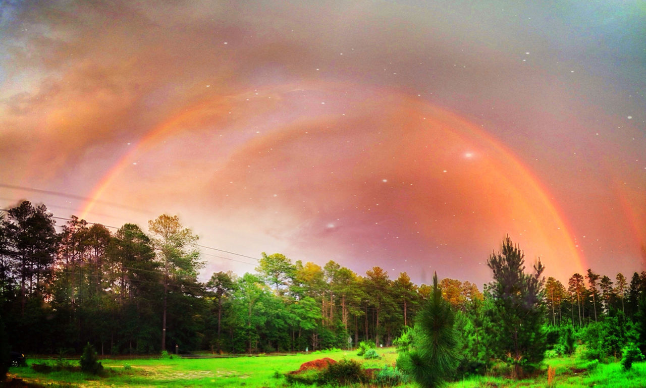 tree, tranquil scene, tranquility, scenics, beauty in nature, sky, nature, landscape, idyllic, growth, grass, green color, cloud - sky, rainbow, non-urban scene, field, outdoors, no people, dramatic sky, forest