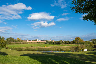 Trees and houses on field against sky