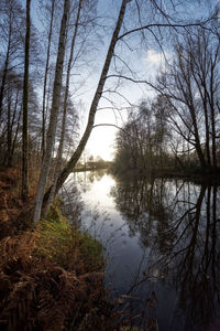 Reflection of trees in lake against sky