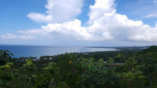 Scenic view of calm sea