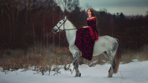 Portrait of person riding horse on snow covered field