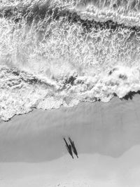 High angle view of sea waves