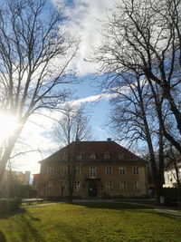 Trees and buildings against sky