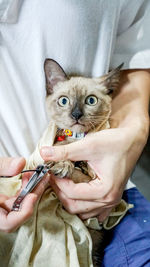 Midsection of person holding cat