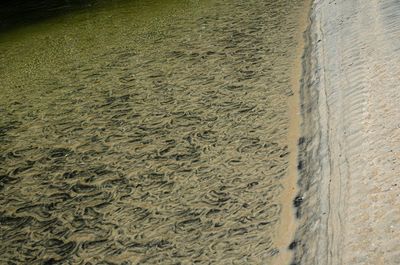 High angle view of beach