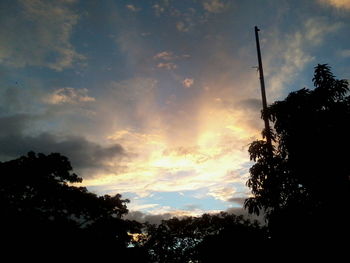 Silhouette of trees at sunset