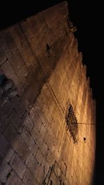 High angle view of insect on floor