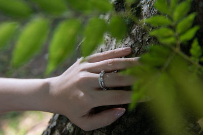 Close-up of woman hand on tree trunk