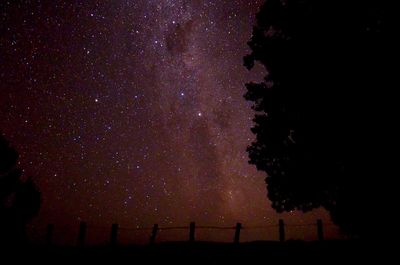 Low angle view of silhouette trees against sky at night