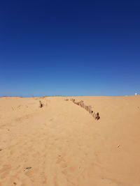 Scenic view of sand dunes against clear blue sky