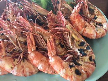 Close-up of cooked prawns on plate