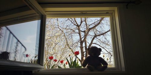 Rear view of woman looking through window