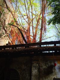 Built structure with trees in background