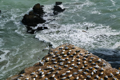 High angle view of rocks on beach