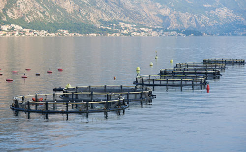 Round fish farms in the adriatic sea in montenegro