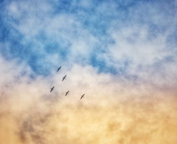 Low angle view of birds flying in sky