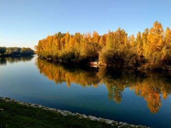 Scenic view of lake by trees against clear sky