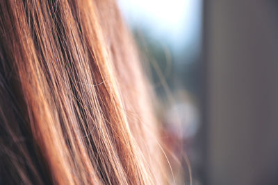 Close-up portrait of woman