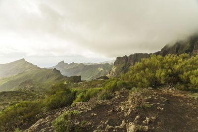 Al teide national park in tenerife in winter with green mountains