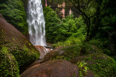 Scenic view of waterfall