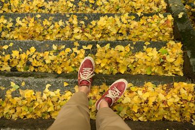 Low section of man standing in park