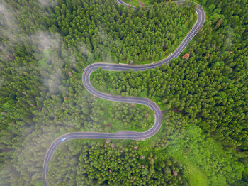 Aerial view of winding road in high mountain pass trough dense green pine woods.