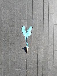 High angle view of a bird on wood