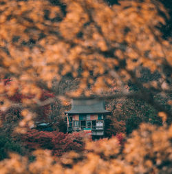 Trees and buildings against sky during autumn